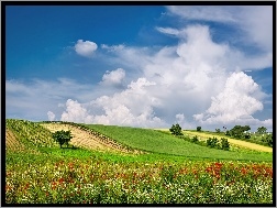Lato, Chmury, Kwiaty, Łąki, Austria, Pola
